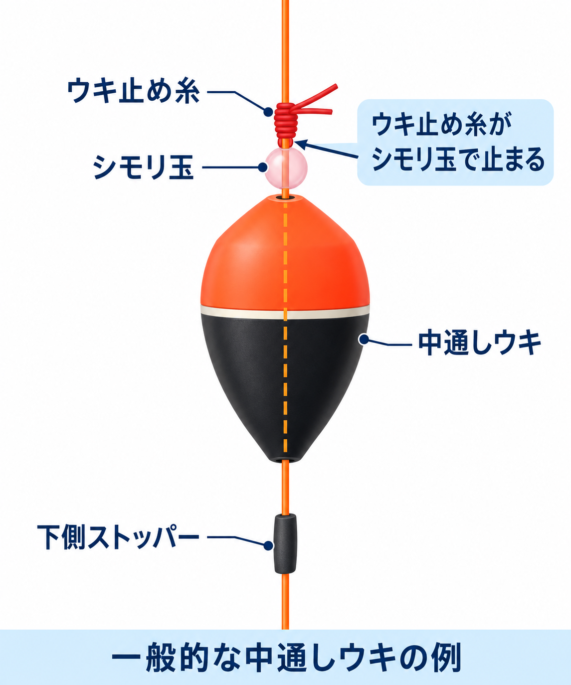 道糸にウキ止め糸、シモリ玉、中通しウキ、下側ストッパーを取り付ける順と中央穴を通る道糸の模式図