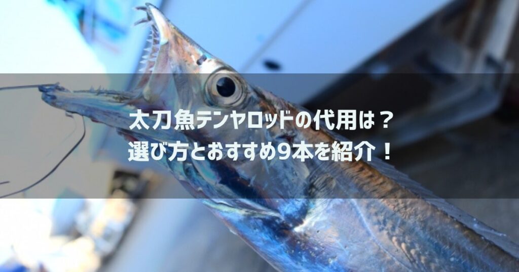 太刀魚テンヤロッドの代用は？選び方とおすすめ9本を紹介！