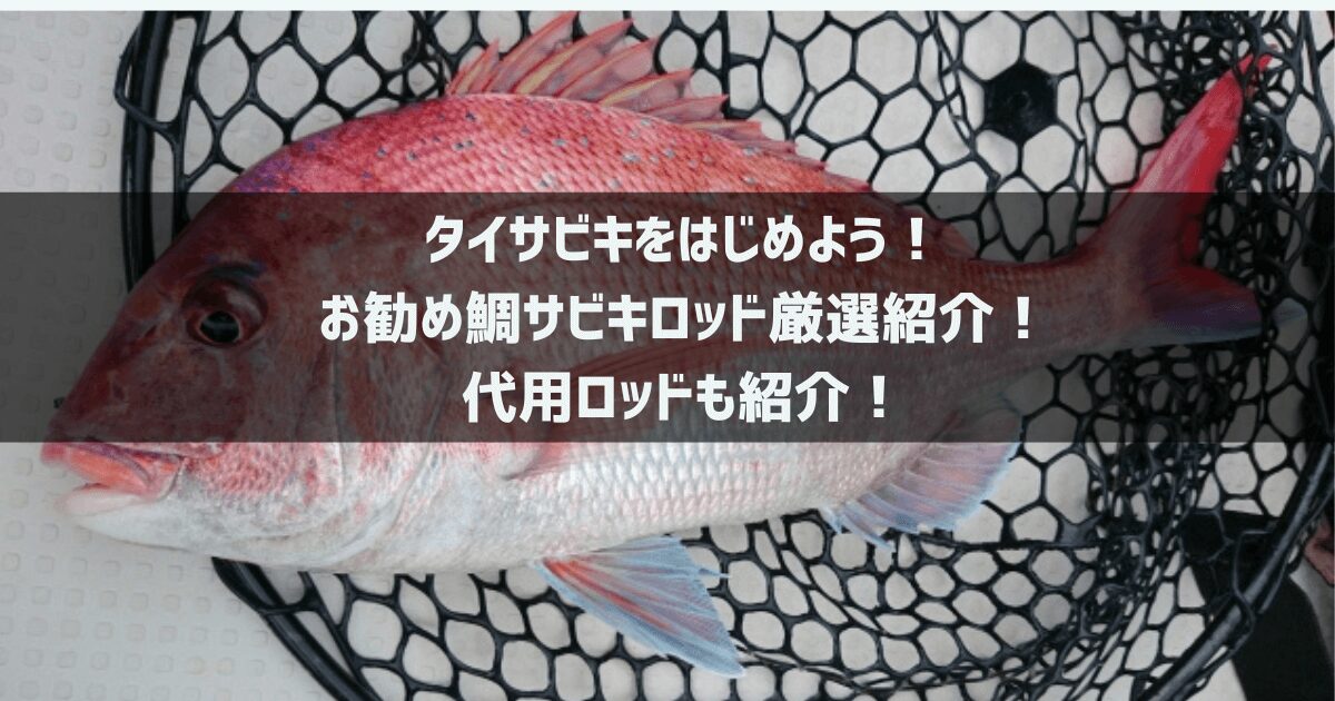 タイサビキをはじめよう！お勧め鯛サビキロッド厳選紹介！代用ロッドも紹介！ - 釣り行きたい