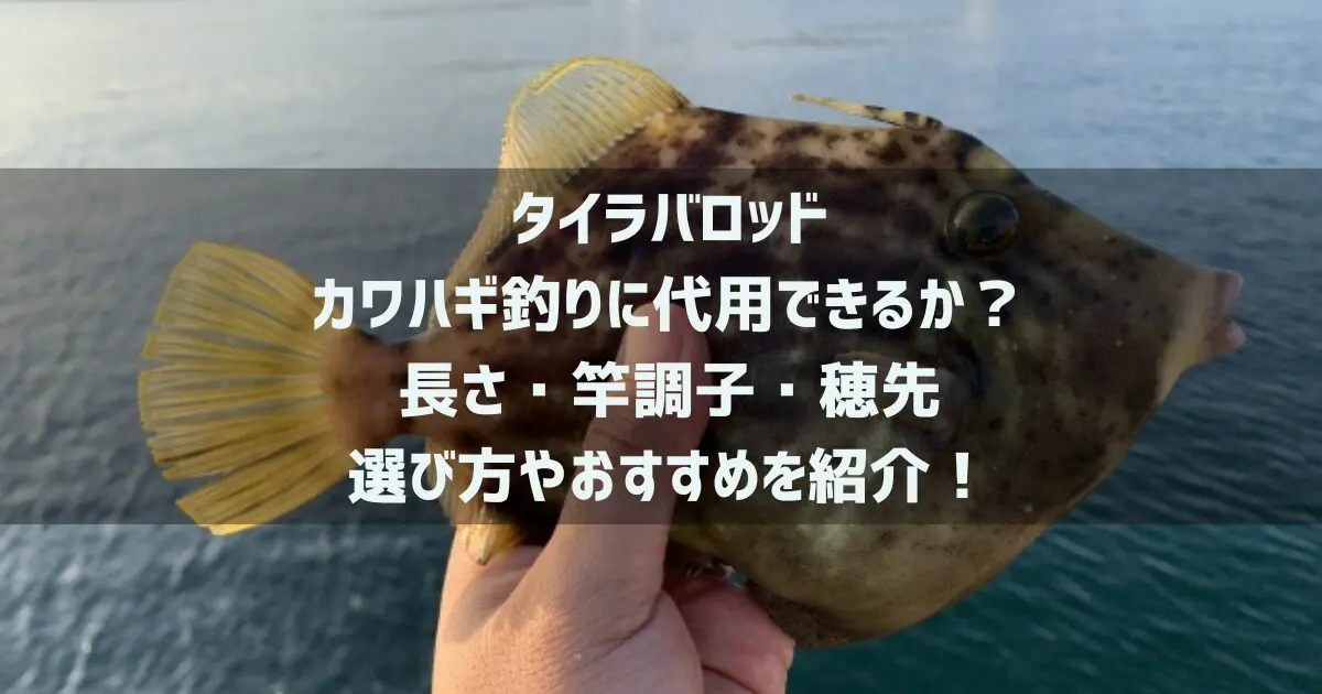 タイラバロッドはカワハギ釣りに代用できるか？長さ・竿調子・穂先など