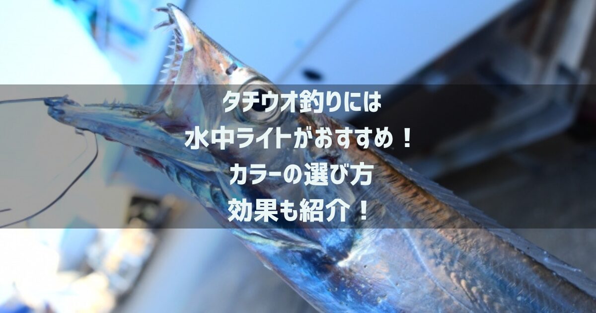 タチウオ釣りには水中ライトがおすすめ！カラーの選び方や効果も紹介！