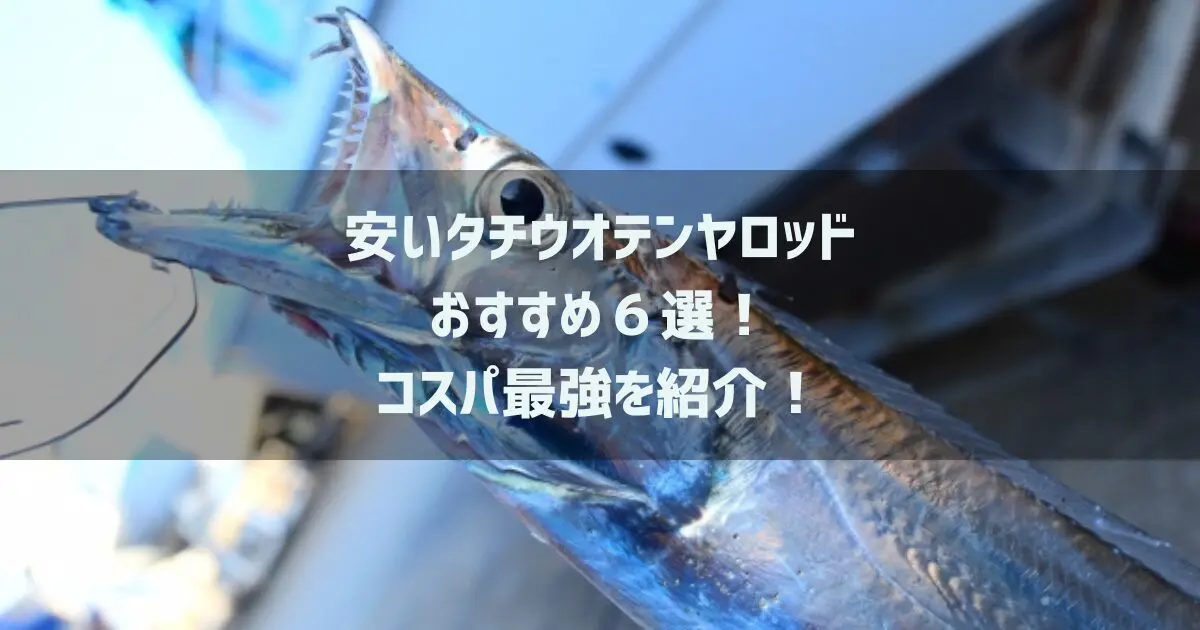 安いタチウオテンヤロッド.jpg