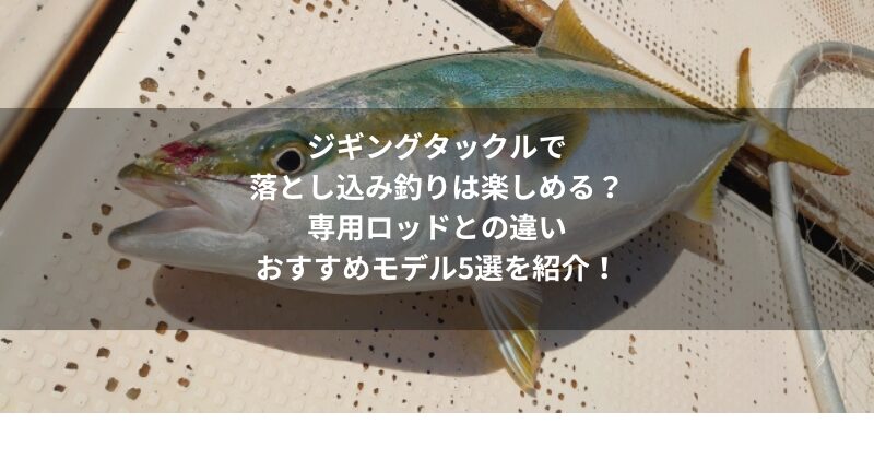 ジギングタックルで落とし込み釣りは楽しめる？専用ロッドとの違いとおすすめモデル5選を紹介！