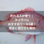 釣れる人が使う！タイラバにおすすめのリール5選
