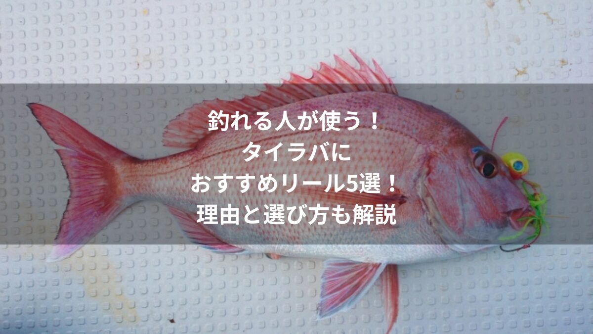 釣れる人が使う！タイラバにおすすめのリール5選
