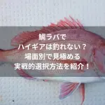 鯛ラバでハイギアは釣れない？場面別で見極める実戦的選択方法を紹介！