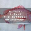鯛ラバのラインセッティングリーダー選びで差がつく！信頼できる5本を紹介！