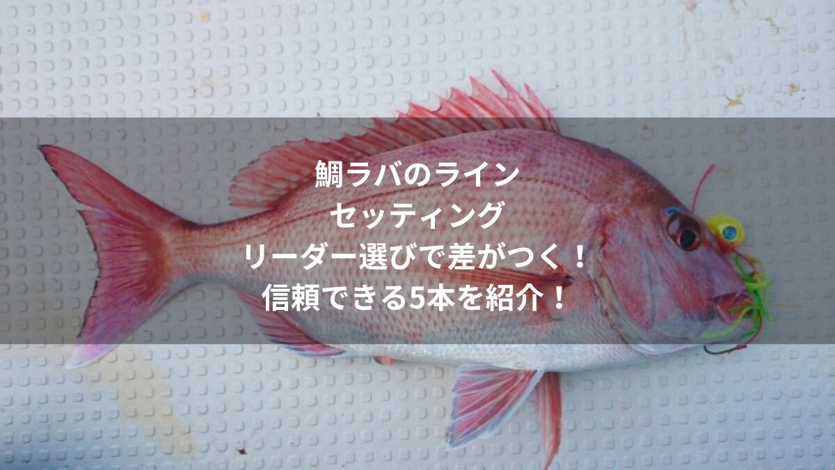 鯛ラバのラインセッティングリーダー選びで差がつく！信頼できる5本を紹介！