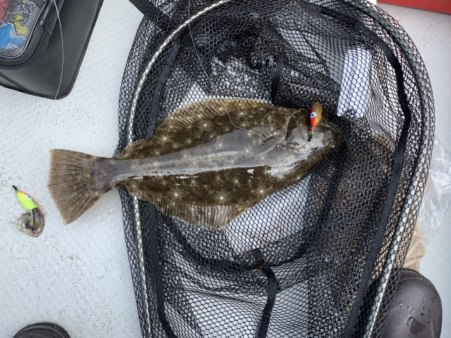 インチクで釣ったヒラメ